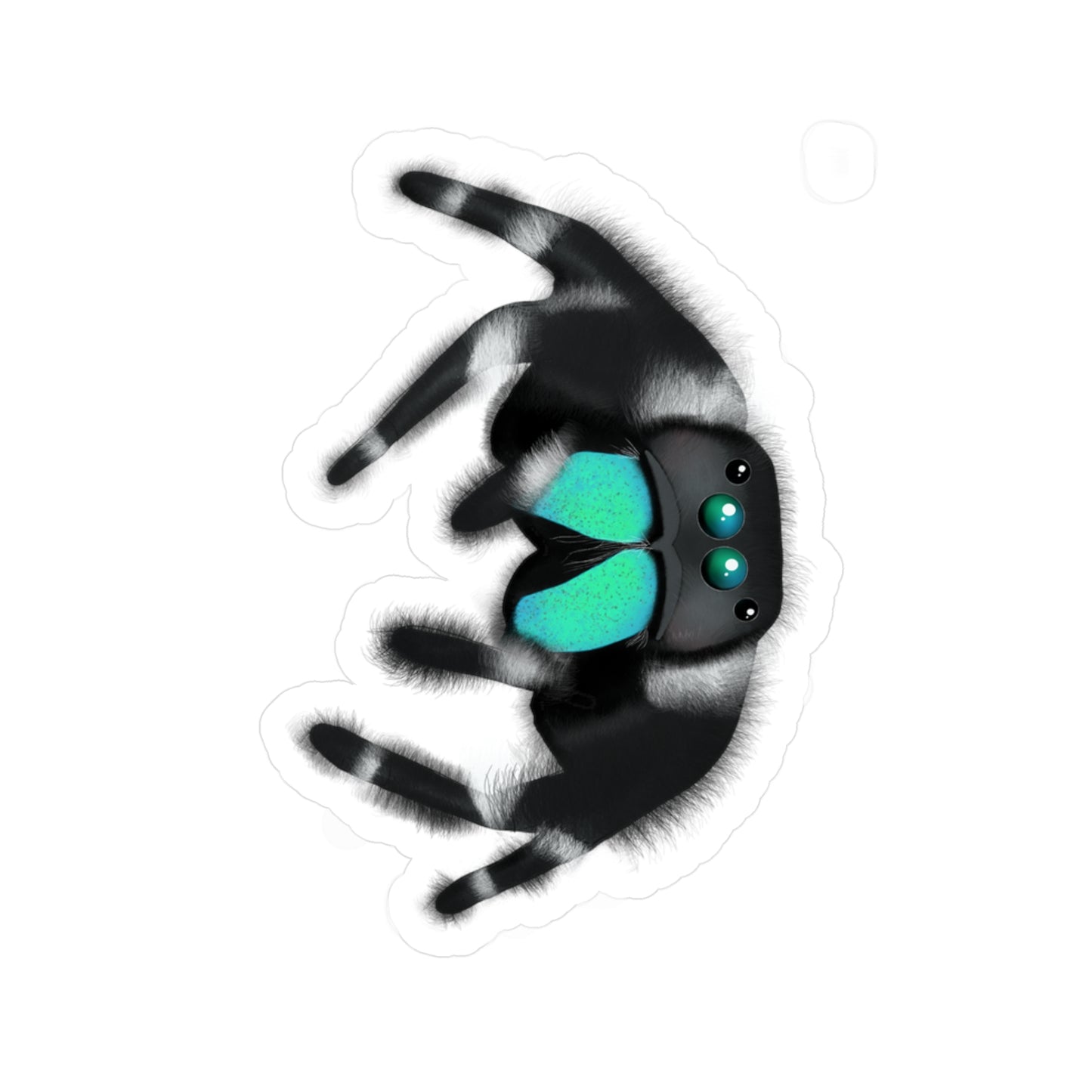 Teal Jumping Spider Kiss-Cut Vinyl Decals