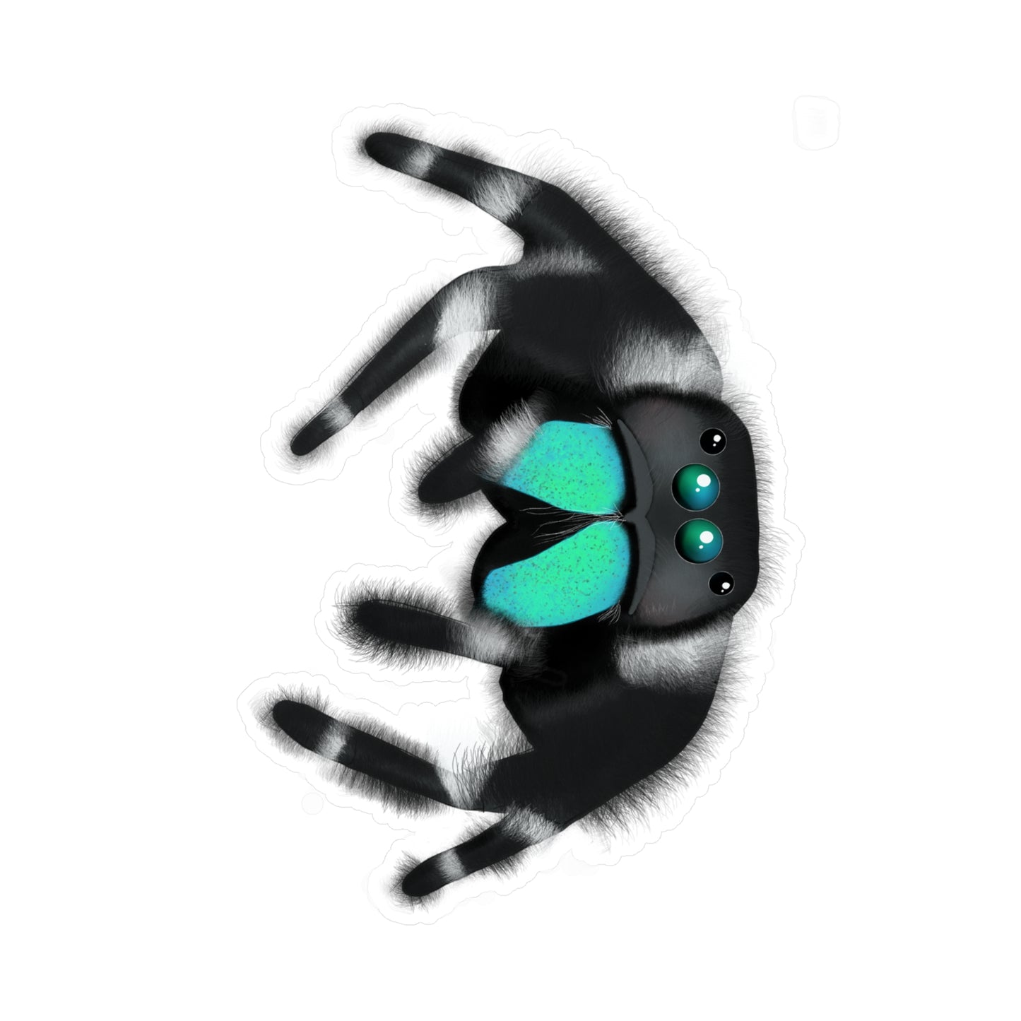 Teal Jumping Spider Kiss-Cut Vinyl Decals