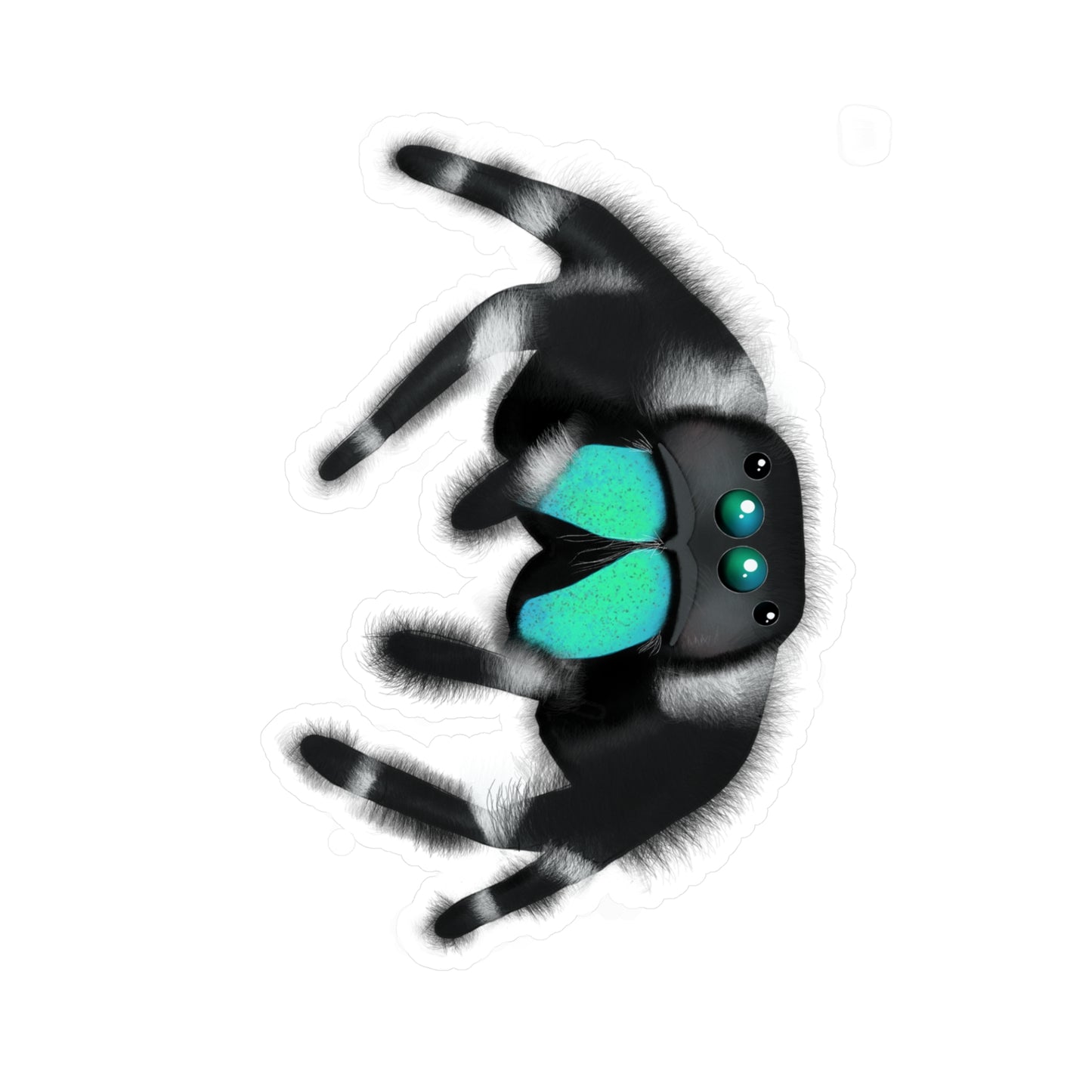 Teal Jumping Spider Kiss-Cut Vinyl Decals