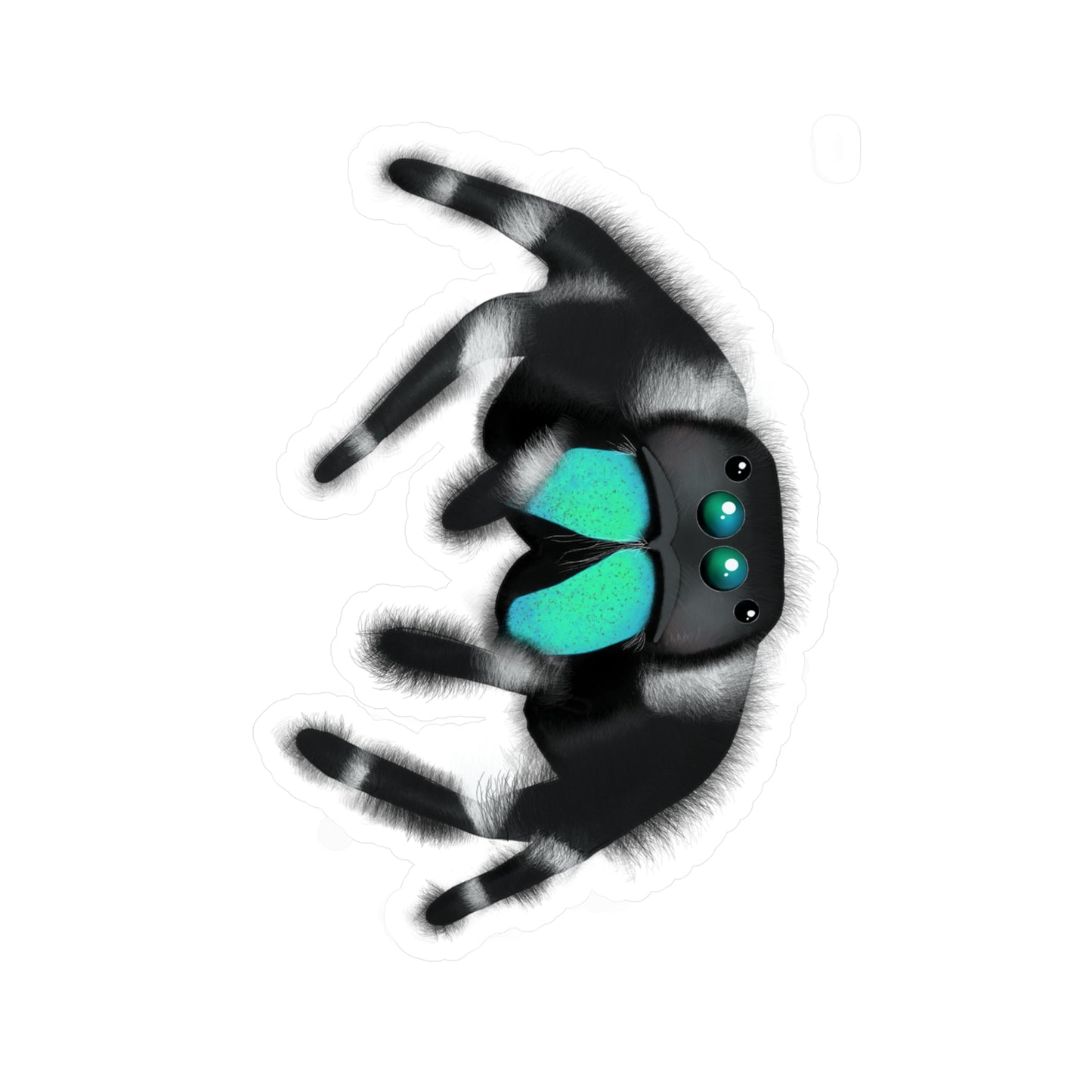 Teal Jumping Spider Kiss-Cut Vinyl Decals